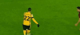 布国12.gif